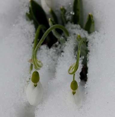 IMG_0899 - Version 2