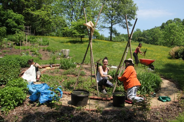 garden crew setting the thyme on the floral clock 