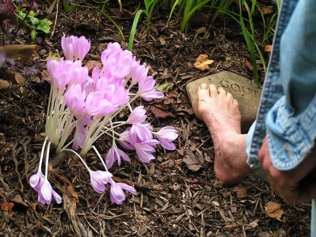 Aug. 20- sept 13, 2006 plants michael moore openspace 129.jpg