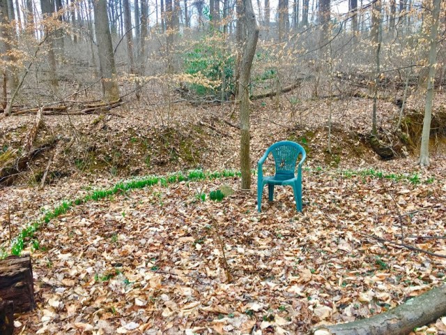 spsilly circle jims chair N snowdrops