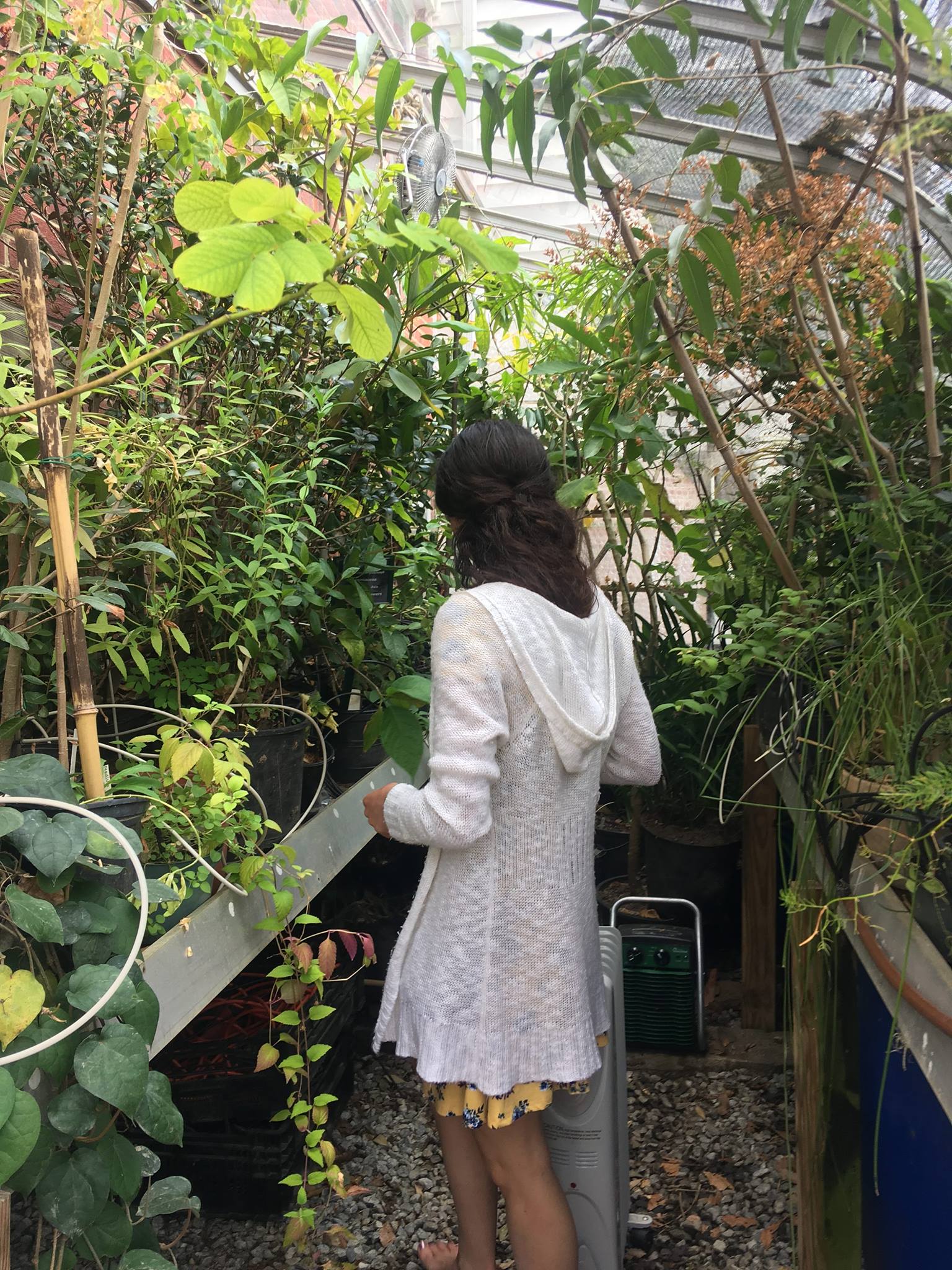 Annie-Sophie_greenhouse